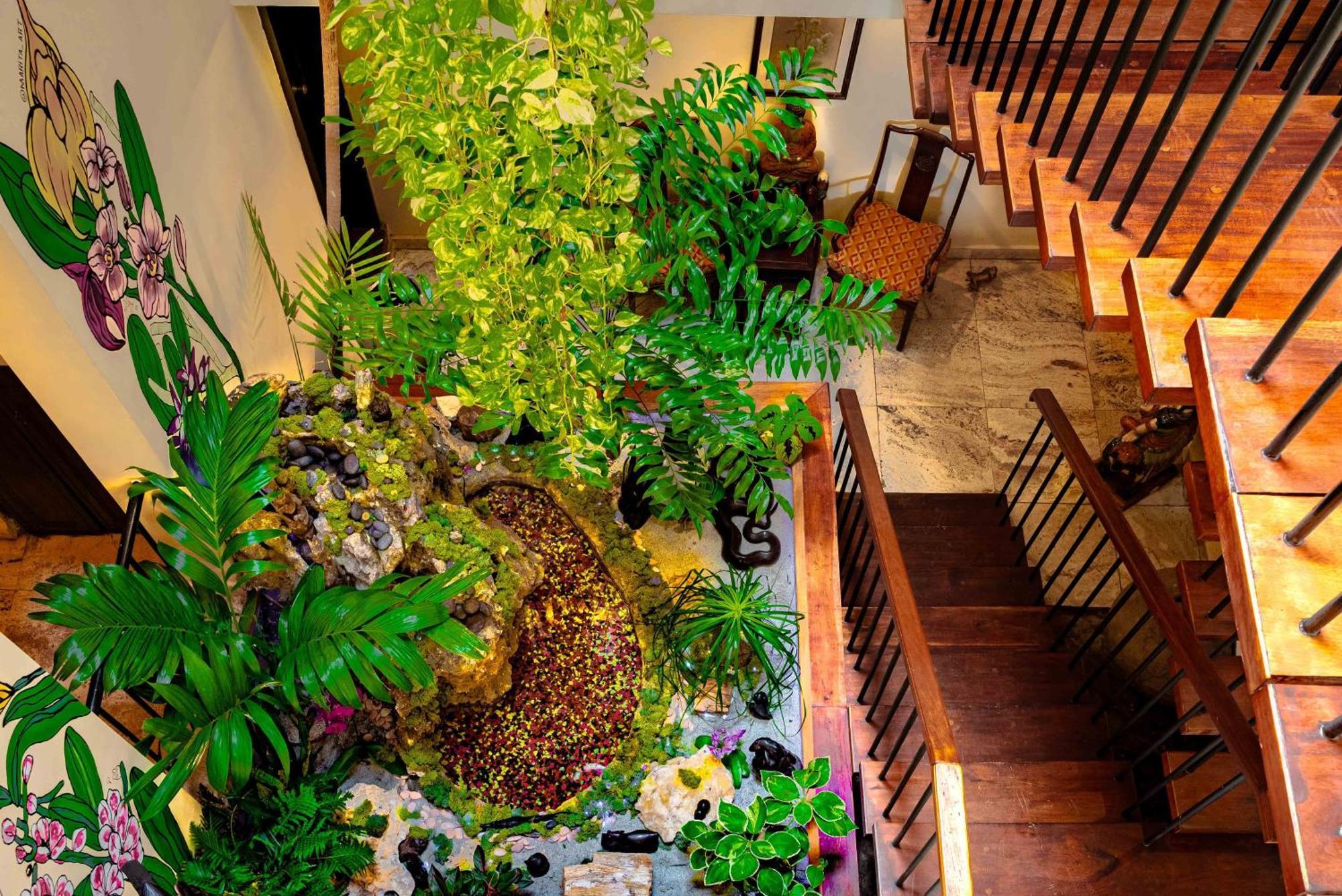 Casa Orquidea Homestay